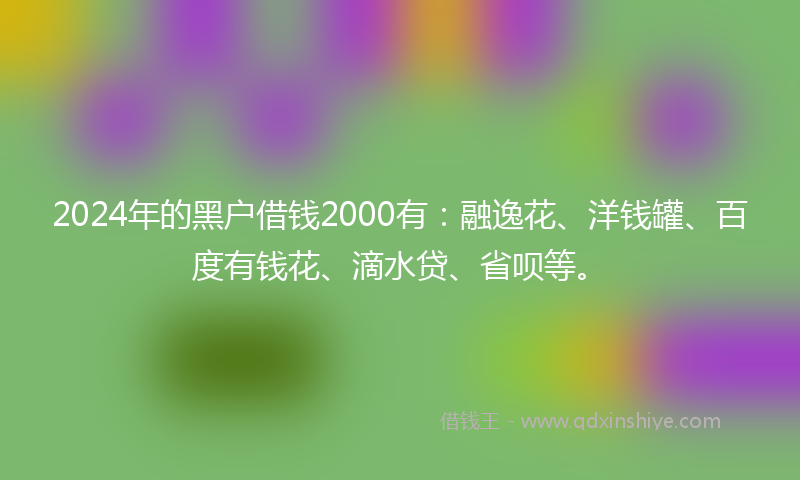 2024年的黑户借钱2000有：融逸花、洋钱罐、百度有钱花、滴水贷、省呗等。