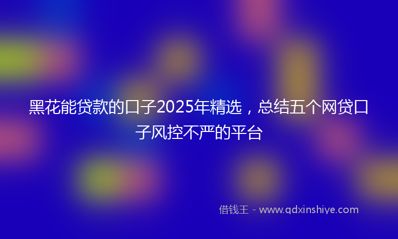 黑花能贷款的口子2025年精选，总结五个网贷口子风控不严的平台