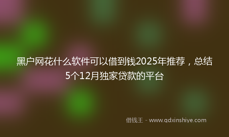 黑户网花什么软件可以借到钱2025年推荐，总结5个12月独家贷款的平台