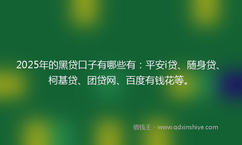 2025年的黑贷口子有哪些有：平安i贷、随身贷、柯基贷、团贷网、百度有钱花等。