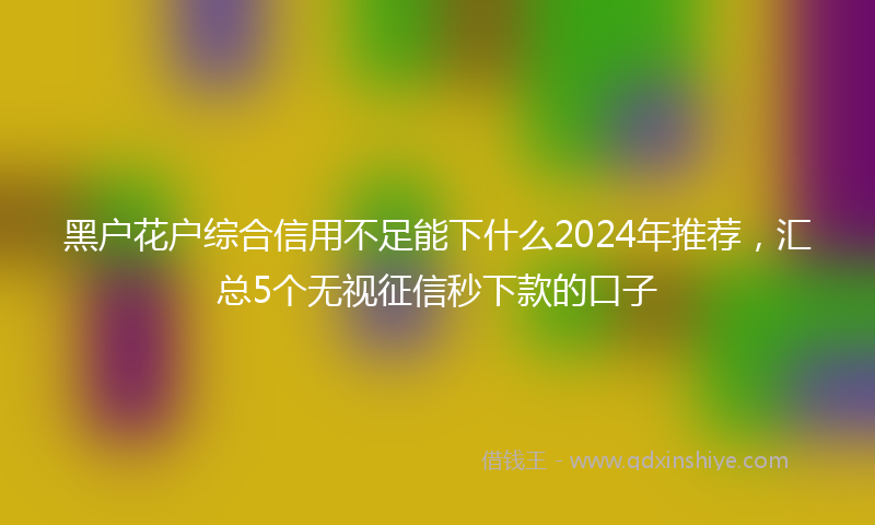 黑户花户综合信用不足能下什么2024年推荐，汇总5个无视征信秒下款的口子