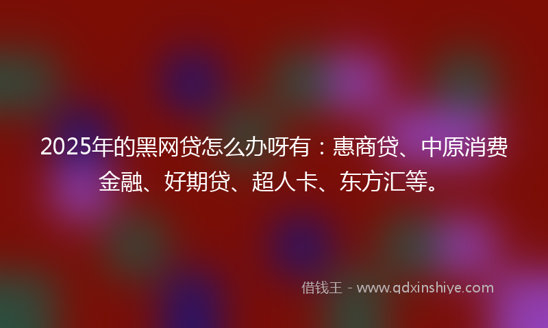 2025年的黑网贷怎么办呀有：惠商贷、中原消费金融、好期贷、超人卡、东方汇等。