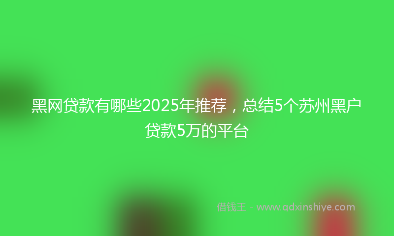 黑网贷款有哪些2025年推荐，总结5个苏州黑户贷款5万的平台