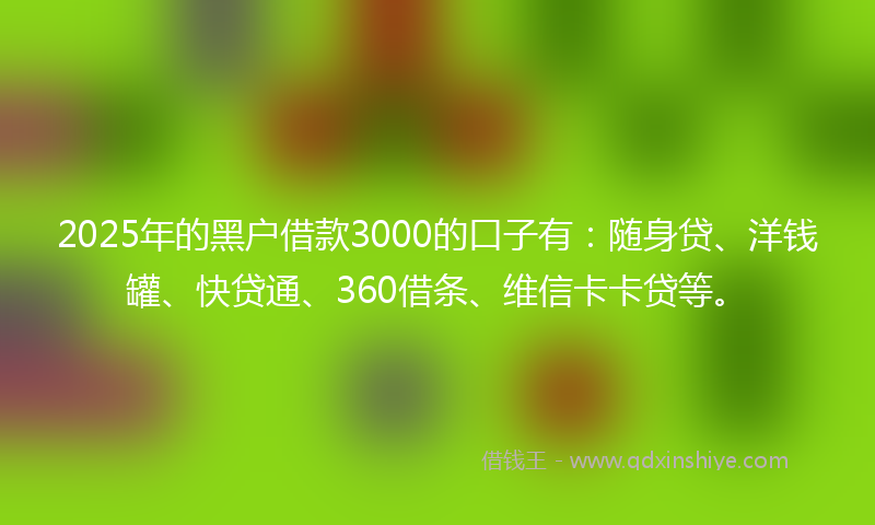 2025年的黑户借款3000的口子有：随身贷、洋钱罐、快贷通、360借条、维信卡卡贷等。