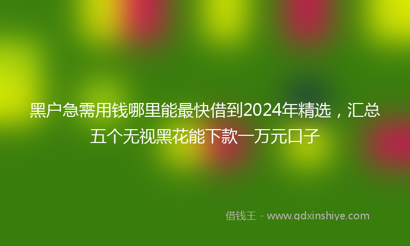 黑户急需用钱哪里能最快借到2024年精选，汇总五个无视黑花能下款一万元口子