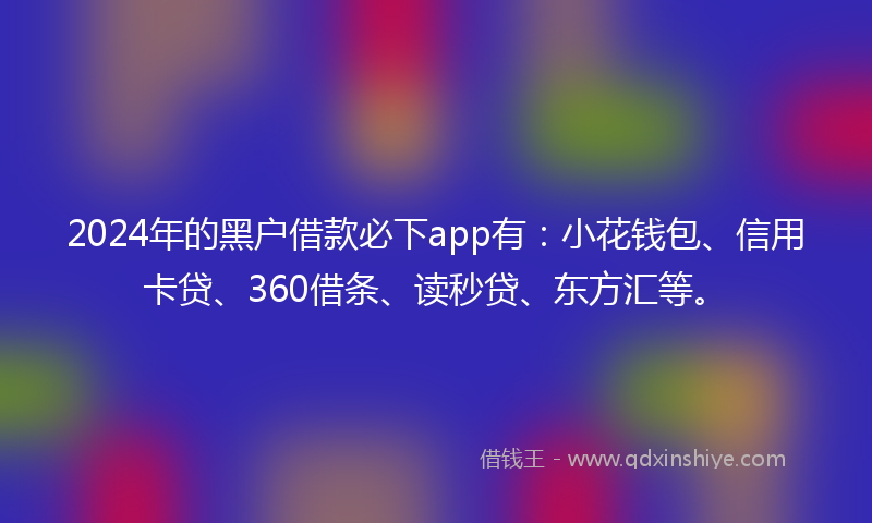 2024年的黑户借款必下app有：小花钱包、信用卡贷、360借条、读秒贷、东方汇等。