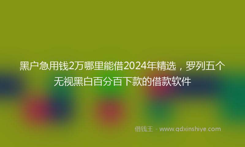 黑户急用钱2万哪里能借2024年精选，罗列五个无视黑白百分百下款的借款软件
