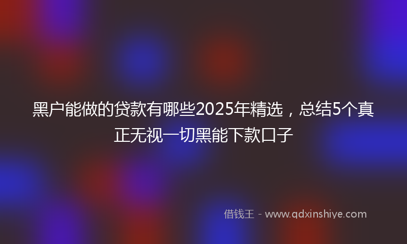 黑户能做的贷款有哪些2025年精选，总结5个真正无视一切黑能下款口子