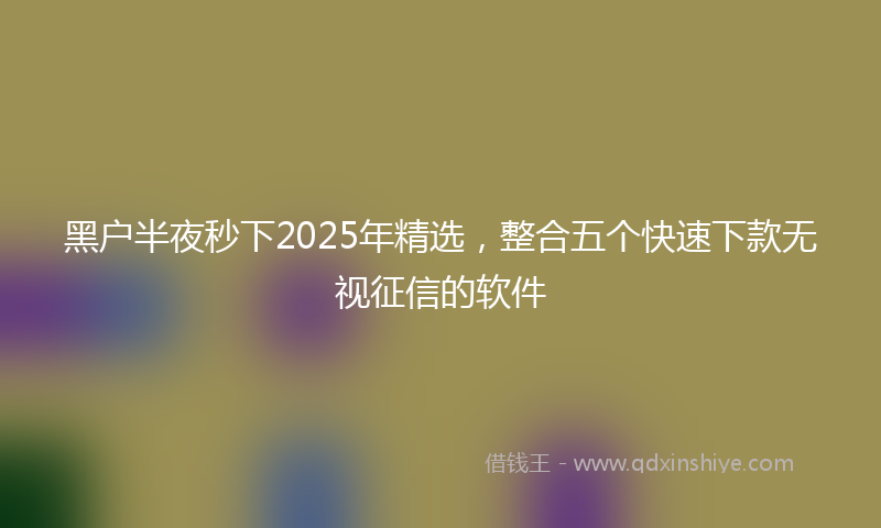 黑户半夜秒下2025年精选，整合五个快速下款无视征信的软件