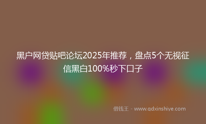 黑户网贷贴吧论坛2025年推荐，盘点5个无视征信黑白100%秒下口子