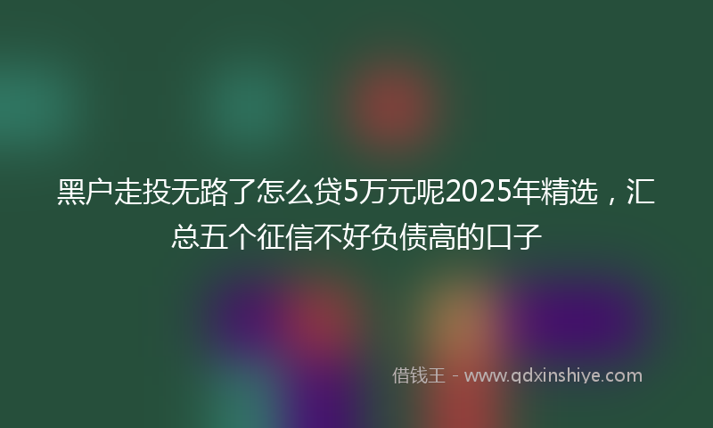 黑户走投无路了怎么贷5万元呢2025年精选，汇总五个征信不好负债高的口子