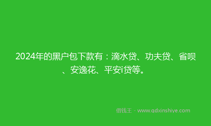 2024年的黑户包下款有：滴水贷、功夫贷、省呗、安逸花、平安i贷等。