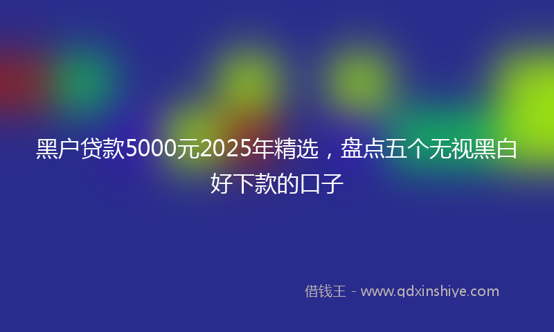 黑户贷款5000元2025年精选，盘点五个无视黑白好下款的口子