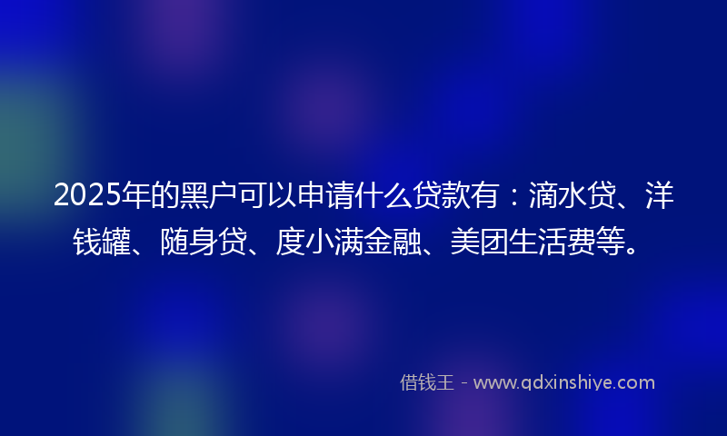 2025年的黑户可以申请什么贷款有：滴水贷、洋钱罐、随身贷、度小满金融、美团生活费等。