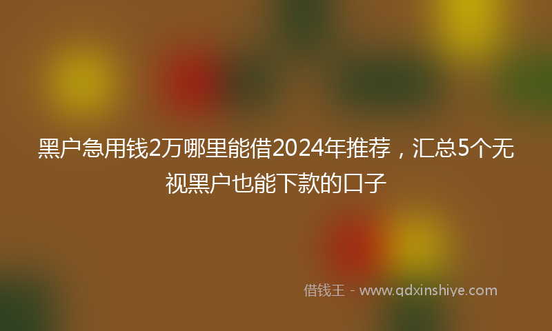 黑户急用钱2万哪里能借2024年推荐，汇总5个无视黑户也能下款的口子