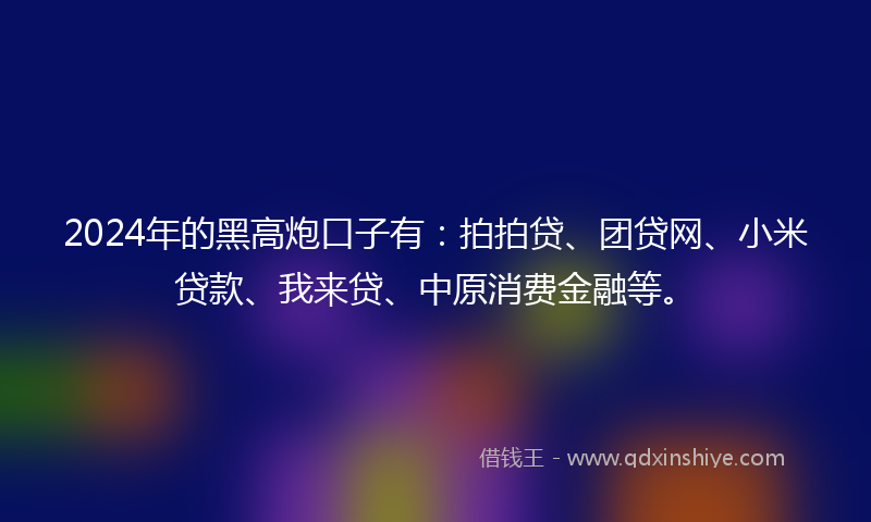 2024年的黑高炮口子有：拍拍贷、团贷网、小米贷款、我来贷、中原消费金融等。