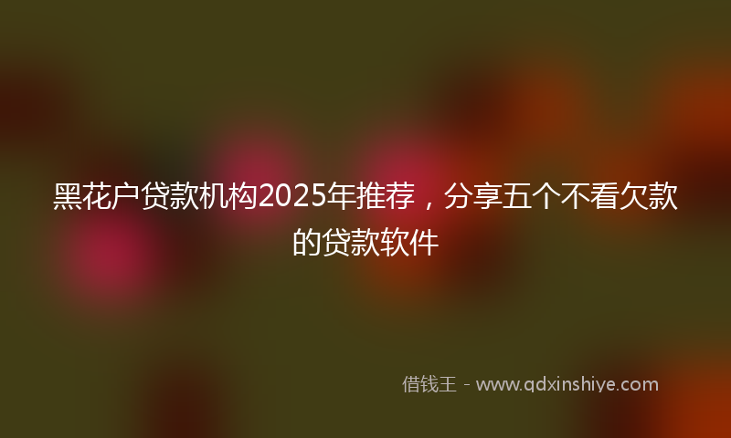 黑花户贷款机构2025年推荐，分享五个不看欠款的贷款软件