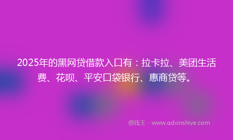 2025年的黑网贷借款入口有：拉卡拉、美团生活费、花呗、平安口袋银行、惠商贷等。