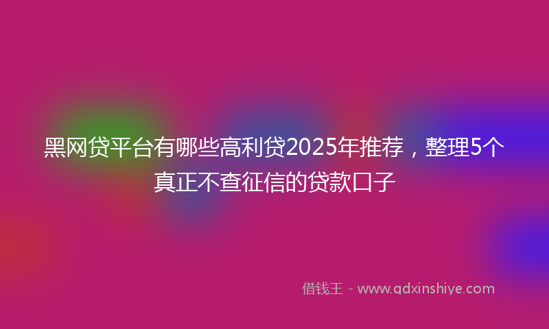 黑网贷平台有哪些高利贷2025年推荐，整理5个真正不查征信的贷款口子