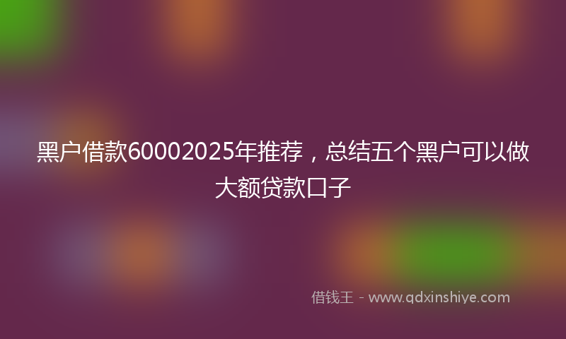 黑户借款60002025年推荐，总结五个黑户可以做大额贷款口子