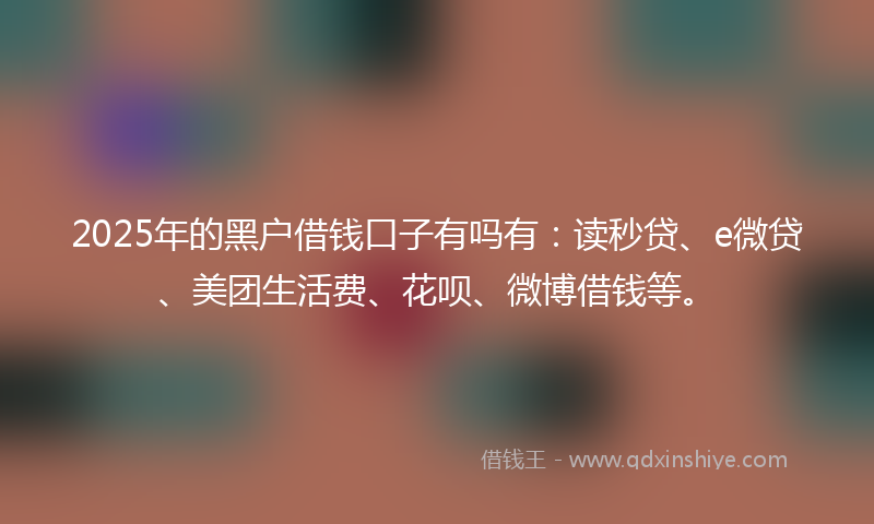 2025年的黑户借钱口子有吗有：读秒贷、e微贷、美团生活费、花呗、微博借钱等。