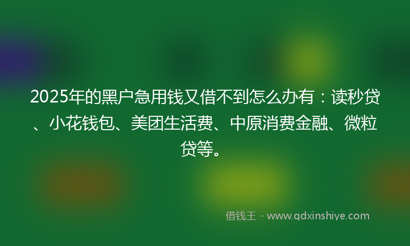 2025年的黑户急用钱又借不到怎么办有：读秒贷、小花钱包、美团生活费、中原消费金融、微粒贷等。