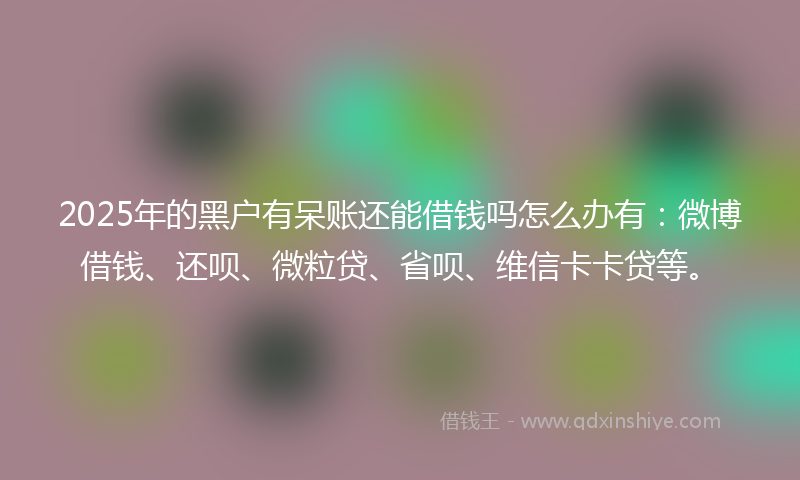 2025年的黑户有呆账还能借钱吗怎么办有：微博借钱、还呗、微粒贷、省呗、维信卡卡贷等。