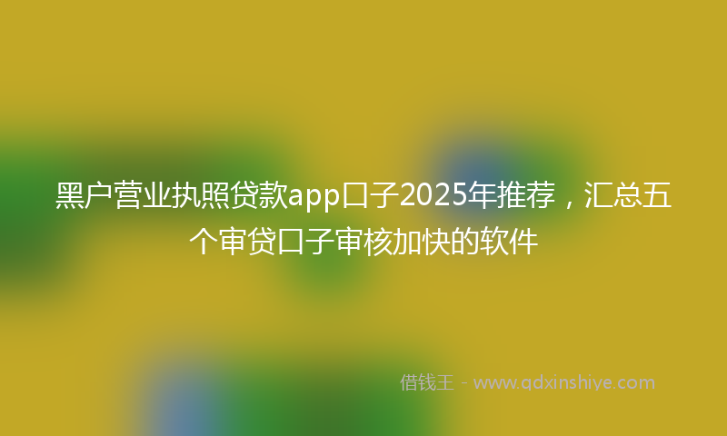 黑户营业执照贷款app口子2025年推荐，汇总五个审贷口子审核加快的软件