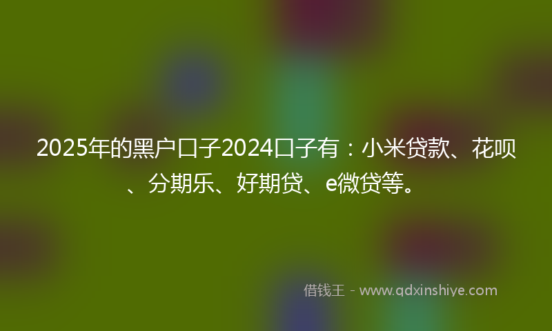 2025年的黑户口子2024口子有：小米贷款、花呗、分期乐、好期贷、e微贷等。