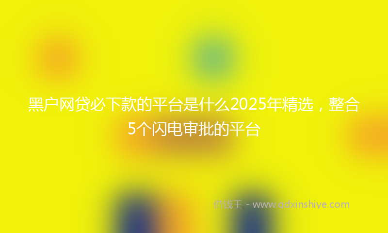 黑户网贷必下款的平台是什么2025年精选，整合5个闪电审批的平台