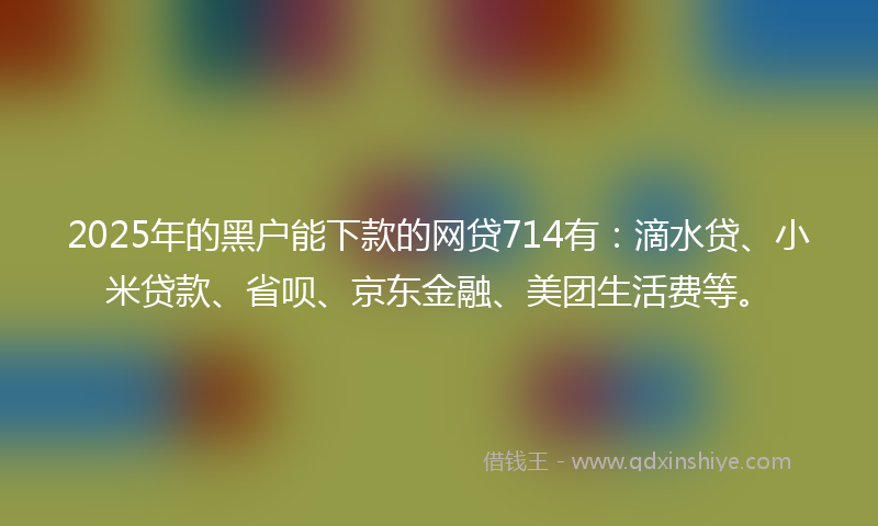 2025年的黑户能下款的网贷714有：滴水贷、小米贷款、省呗、京东金融、美团生活费等。
