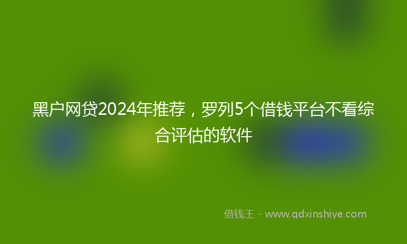 黑户网贷2024年推荐，罗列5个借钱平台不看综合评估的软件