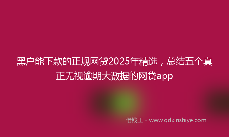 黑户能下款的正规网贷2025年精选，总结五个真正无视逾期大数据的网贷app