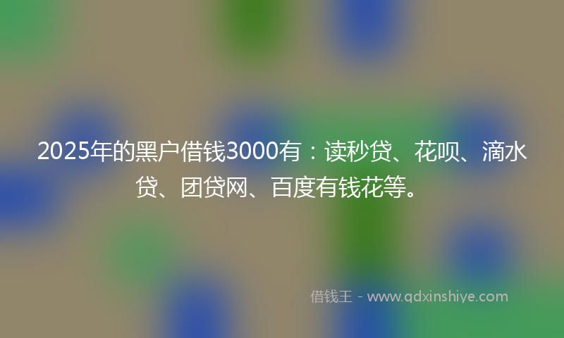 2025年的黑户借钱3000有：读秒贷、花呗、滴水贷、团贷网、百度有钱花等。