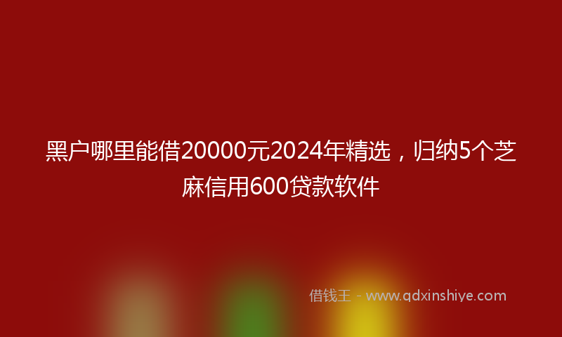 黑户哪里能借20000元2024年精选，归纳5个芝麻信用600贷款软件