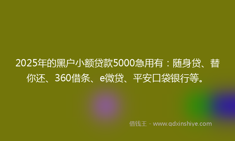 2025年的黑户小额贷款5000急用有：随身贷、替你还、360借条、e微贷、平安口袋银行等。