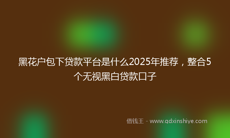 黑花户包下贷款平台是什么2025年推荐，整合5个无视黑白贷款口子