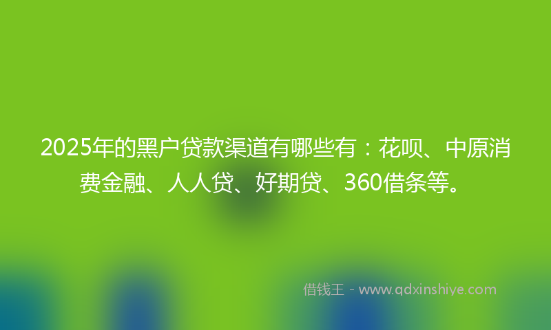 2025年的黑户贷款渠道有哪些有：花呗、中原消费金融、人人贷、好期贷、360借条等。
