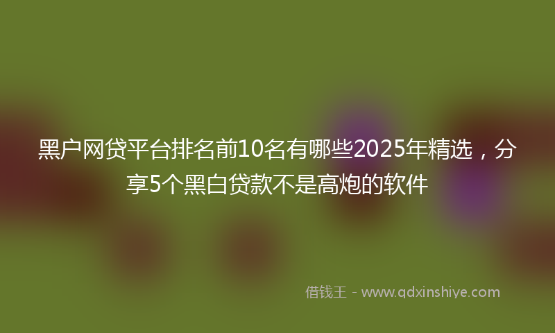 黑户网贷平台排名前10名有哪些2025年精选，分享5个黑白贷款不是高炮的软件