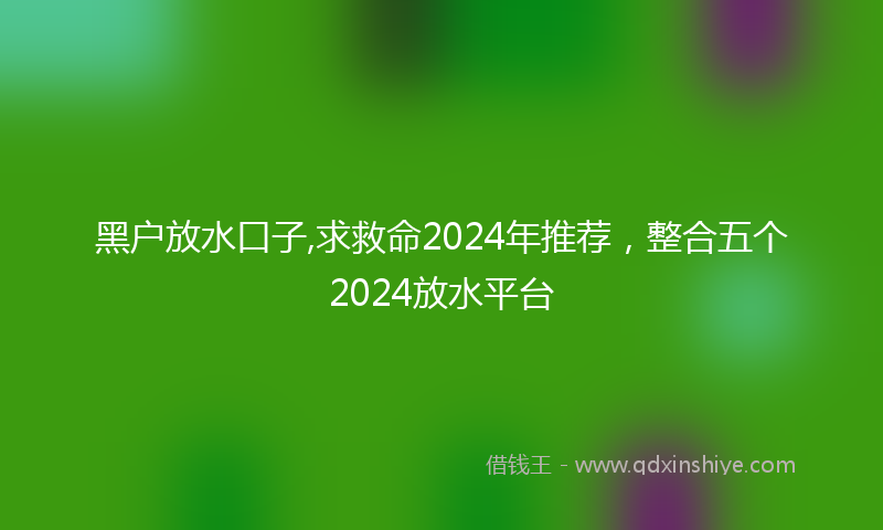 黑户放水口子,求救命2024年推荐，整合五个2024放水平台