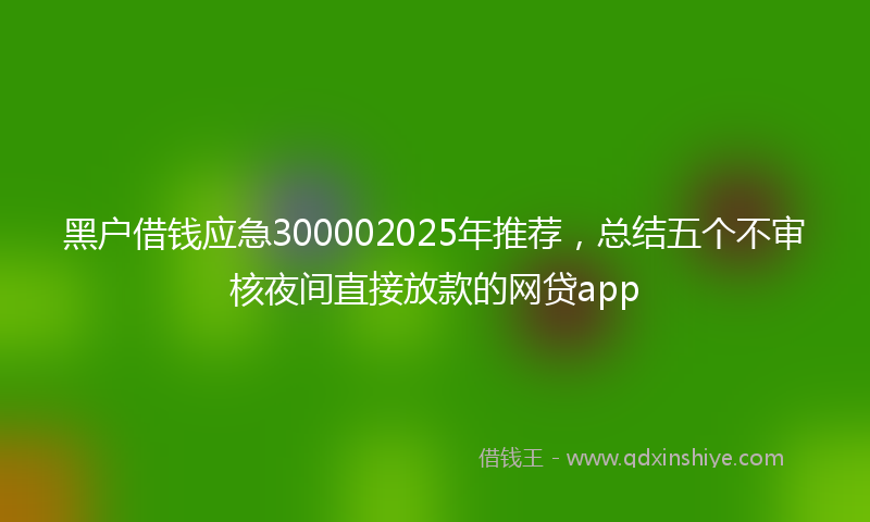 黑户借钱应急300002025年推荐，总结五个不审核夜间直接放款的网贷app