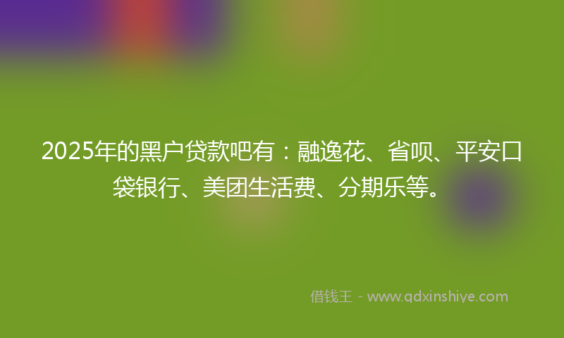 2025年的黑户贷款吧有：融逸花、省呗、平安口袋银行、美团生活费、分期乐等。