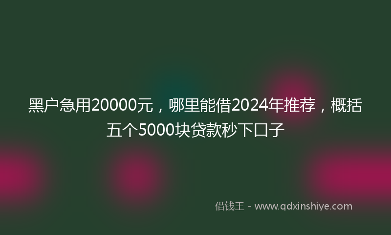 黑户急用20000元，哪里能借2024年推荐，概括五个5000块贷款秒下口子