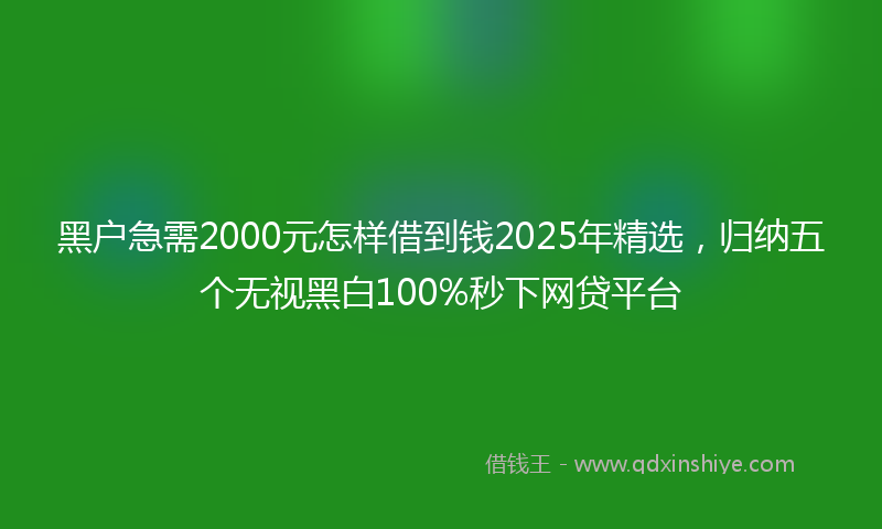 黑户急需2000元怎样借到钱2025年精选，归纳五个无视黑白100%秒下网贷平台