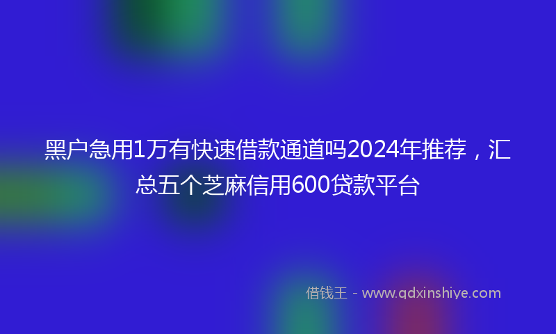 黑户急用1万有快速借款通道吗2024年推荐，汇总五个芝麻信用600贷款平台