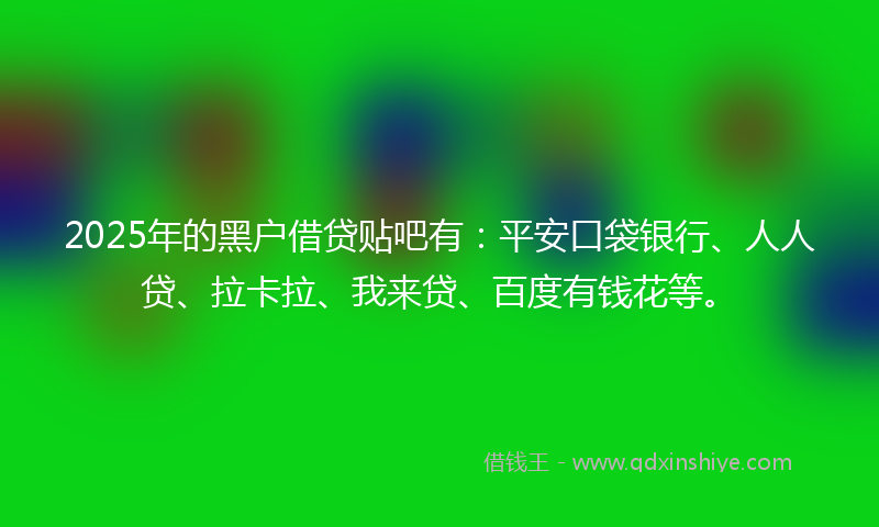 2025年的黑户借贷贴吧有：平安口袋银行、人人贷、拉卡拉、我来贷、百度有钱花等。
