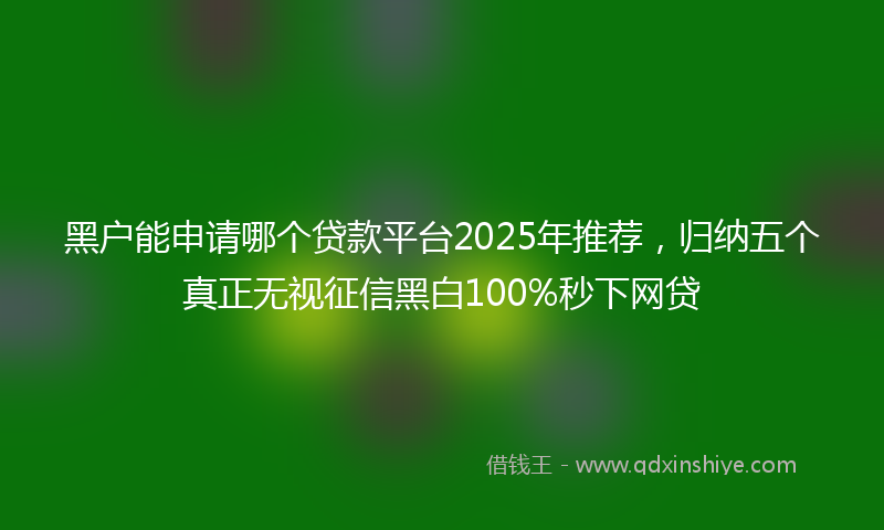 黑户能申请哪个贷款平台2025年推荐，归纳五个真正无视征信黑白100%秒下网贷