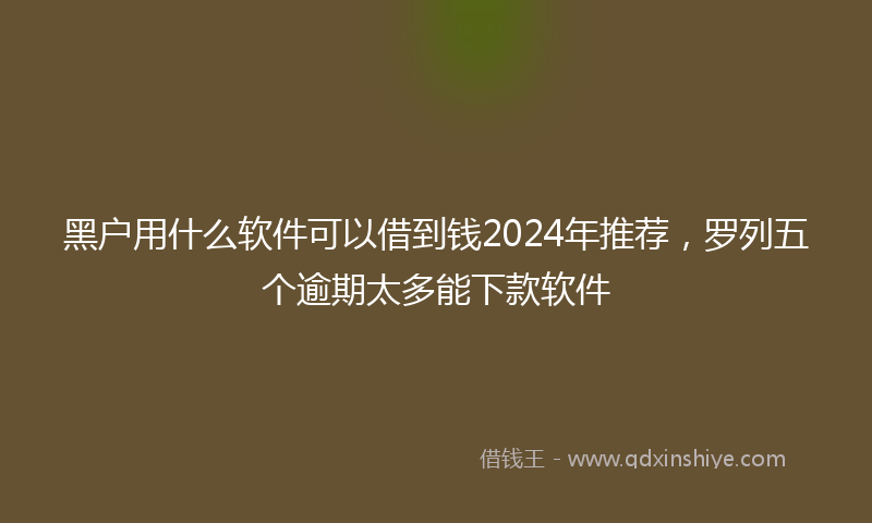 黑户用什么软件可以借到钱2024年推荐，罗列五个逾期太多能下款软件