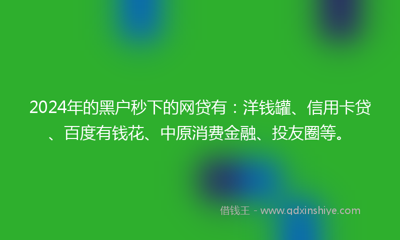 2024年的黑户秒下的网贷有：洋钱罐、信用卡贷、百度有钱花、中原消费金融、投友圈等。