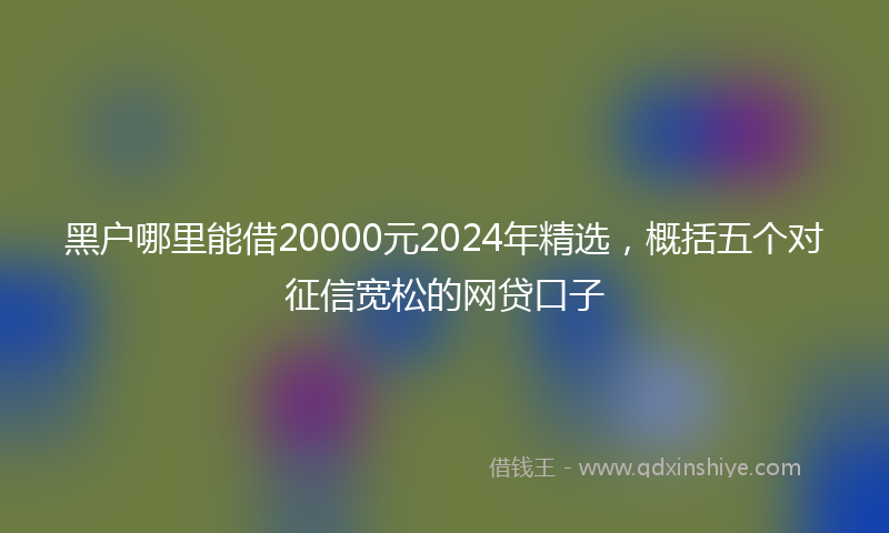 黑户哪里能借20000元2024年精选，概括五个对征信宽松的网贷口子